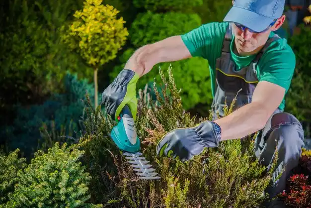 landscaping services Robin Glen-Indiantown